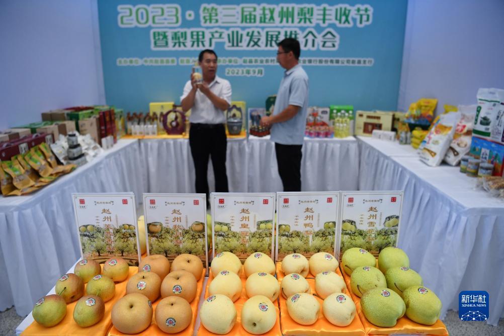 彩金白菜网大全